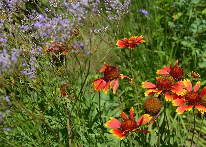 Na Poddaszu Lägenhet Węgorzewo